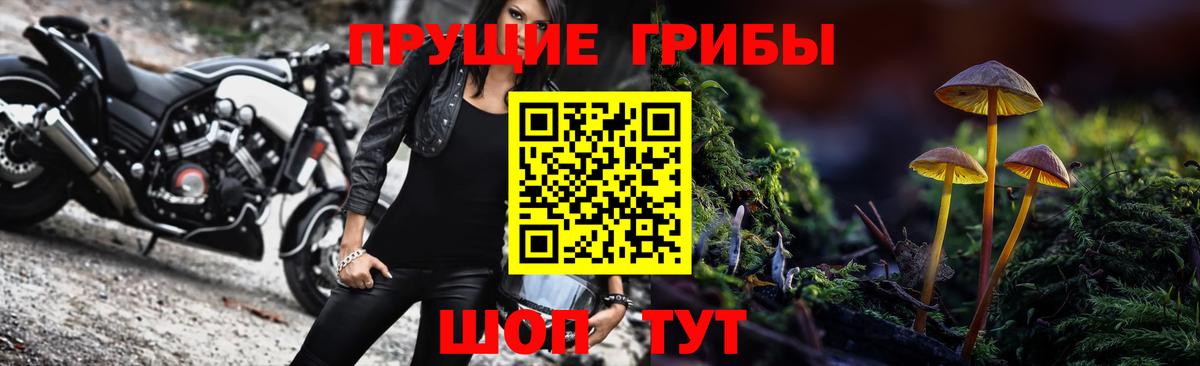 Костомукша  Псилоцибиновые грибы мухоморы  Вход с VPN 